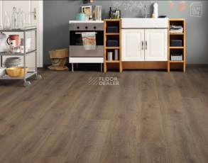 Haro Tritty 100 Gran Via 4V ДУБ КОНТУРА ДЫМЧАТЫЙ 538773 фото 2 | FLOORDEALER